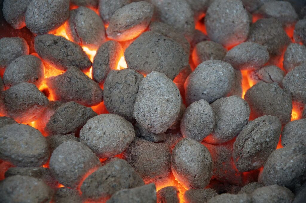 grillbriketts test